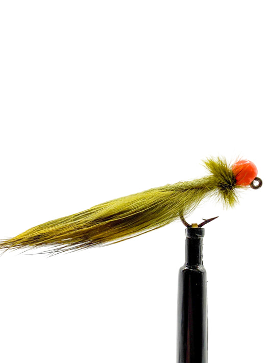 Olive Jig Leech