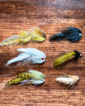 Weightless Thrasher, Brown Trout