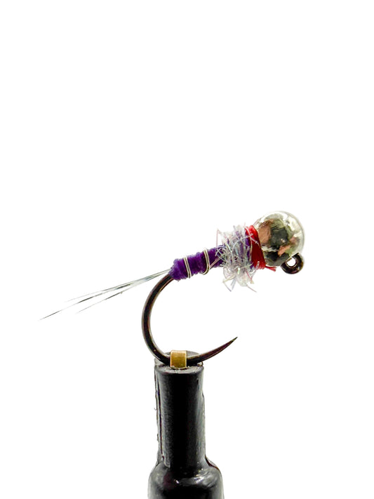 Purple Thread Frenchie
