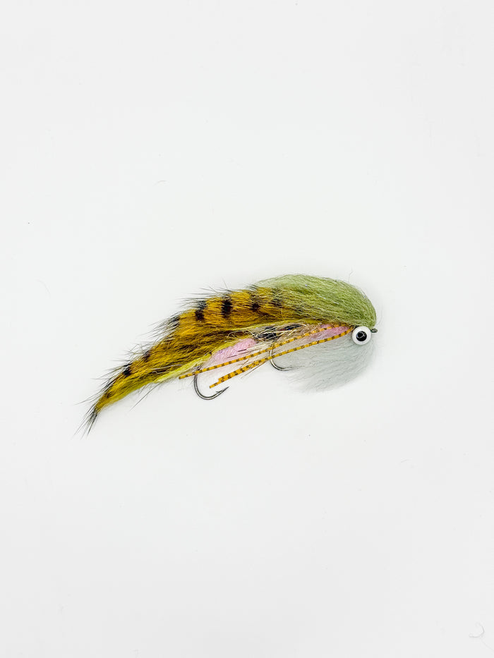 Agent Scully - Rainbow Trout