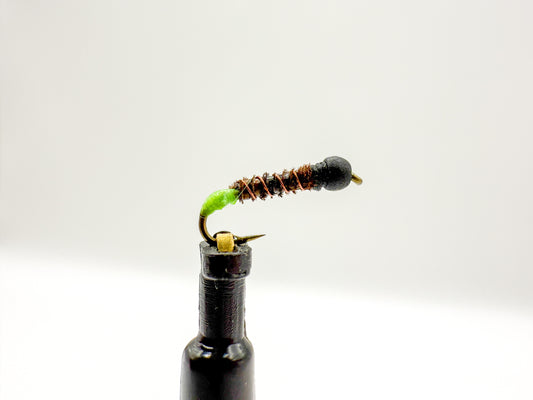 Cased Caddis