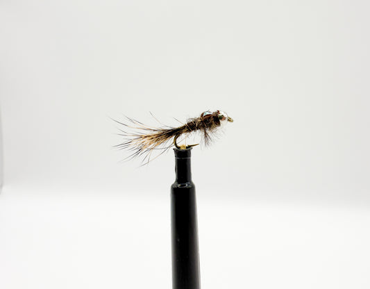 Flash back Pheasant Tail