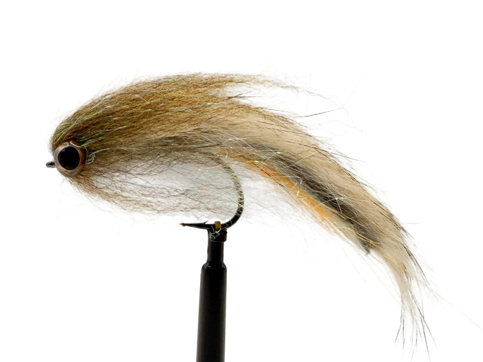 Bait Fish Minnow